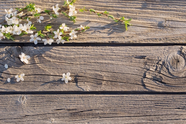 木製の背景上に花