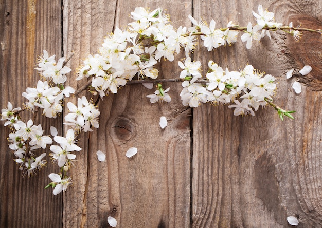 Flowers on wooden background