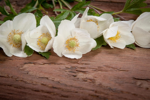 Photo flowers on wooden background