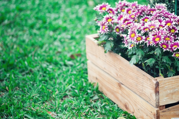 Flowers in wooden box