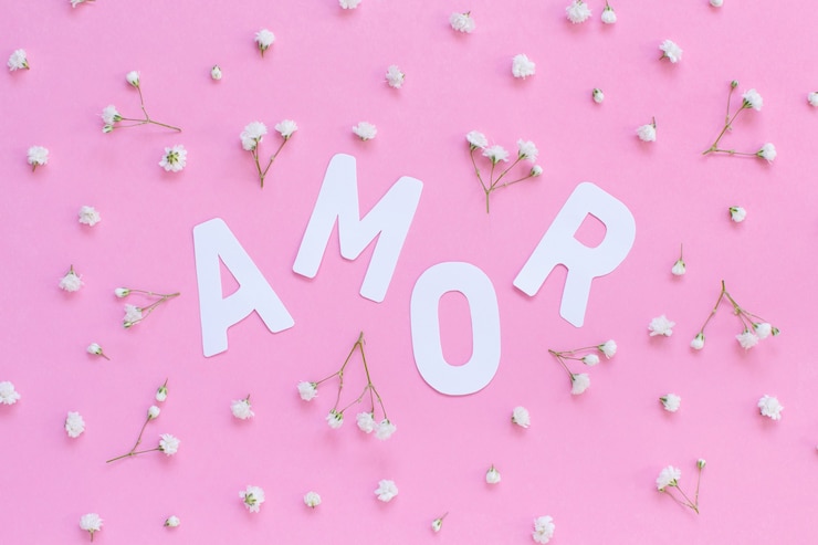 Photo flowers and word amor on a light pink background top view