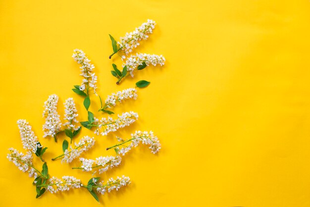 Photo flowers on yellow background