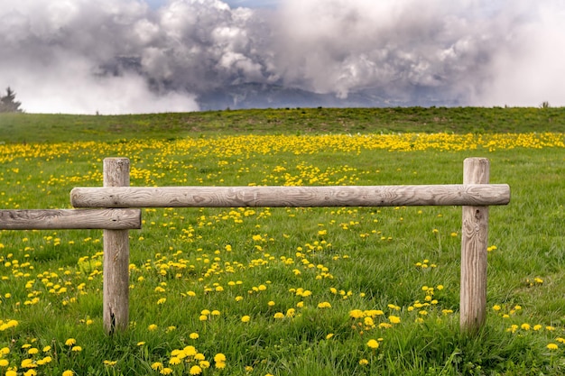 Flowery meadow with wooden fence stormy sky