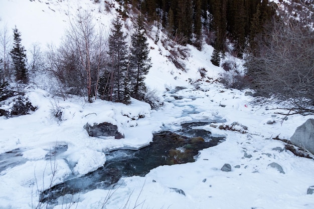 Foto fiume di montagna che scorre in inverno