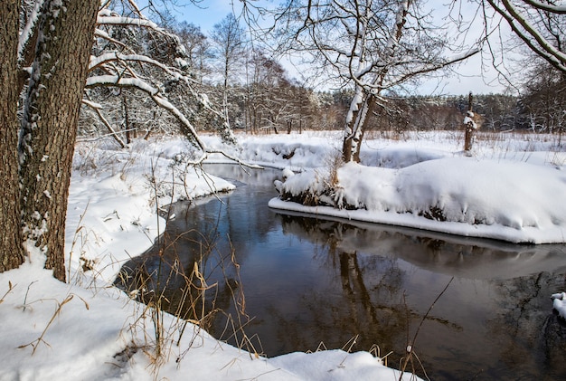 Flowing river in a snowy winter forest branches of trees covered with fresh snow