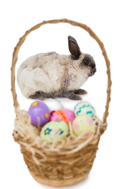 Fluffy bunny with basket of Easter eggs