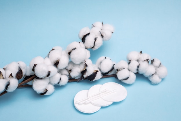 Fluffy cotton pads with cotton balls with a dry branch with\
flowers on blue