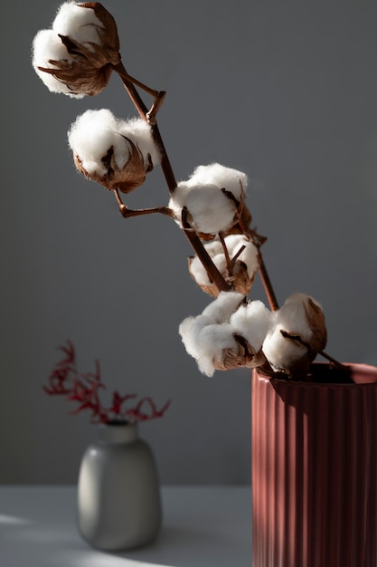 Fluffy cotton plant in vase used in interior decor