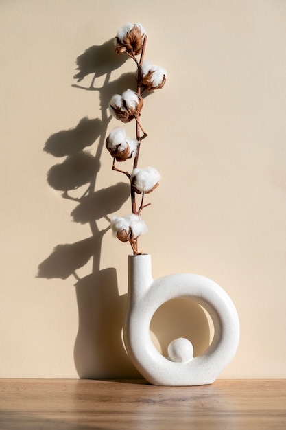 fluffy cotton plant in vase used in interior decor