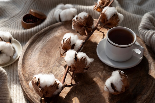 Fluffy cotton plant with buds