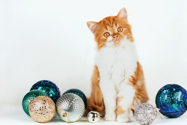 Fluffy ginger kitten sitting surrounded by shiny Christmas balls on a white background.