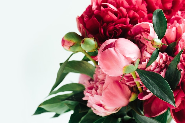 Fluffy  living coral  peonies