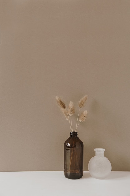 Fluffy pom pom plant stalks in vase standing on white table against neutral pastel beige wall surface