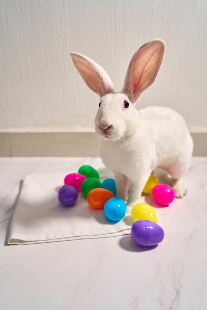 Fluffy Rabbit viert Pasen met een mandje eieren