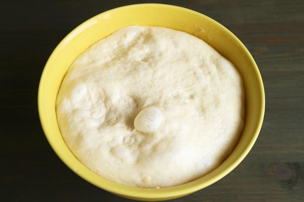 Fluffy risen dough in a mixing bowl