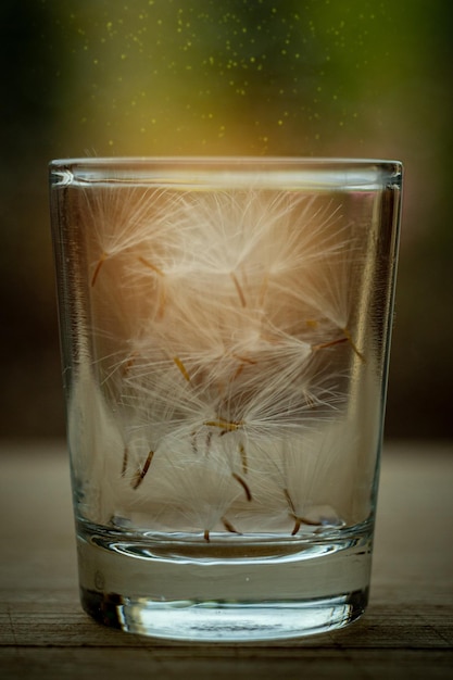 Fluffy seeds in a transparent glass on a blurred background