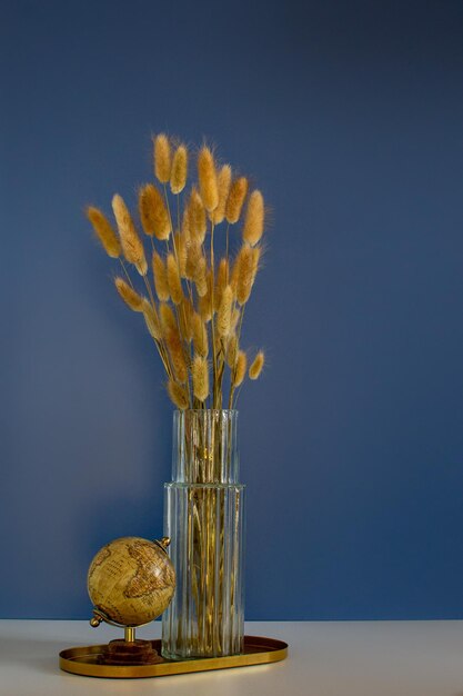 Fluffy spikelets of lagurus ovatus and globe