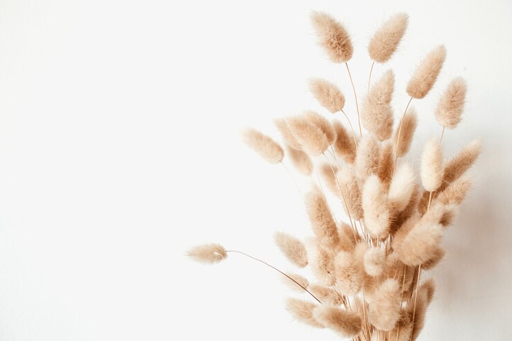 Photo ふわふわのタンポンポンは白い表面に花束を植えます