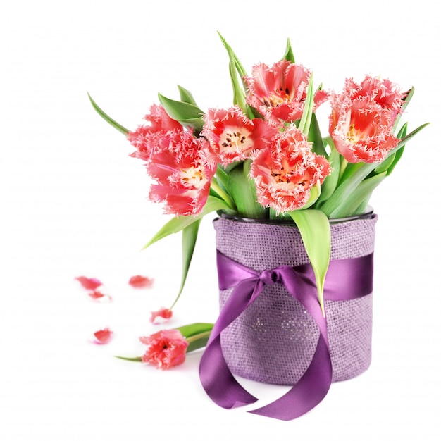 Fluffy tulips in violet vase