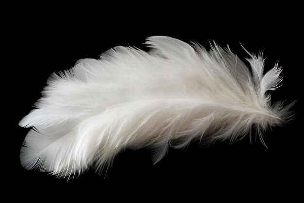 Photo fluffy white feather on black background