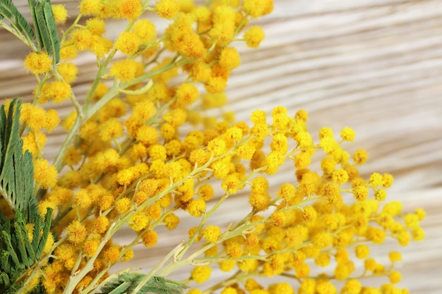 Fluffy yellow flowers of mimosa close-up on a blurred wooden surface with copyspace. Floral background. Selective focus.