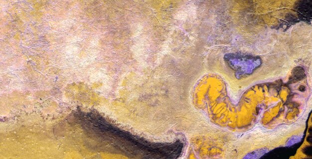 fluid beauty unveiling the mysterious allure of liquid art in oil