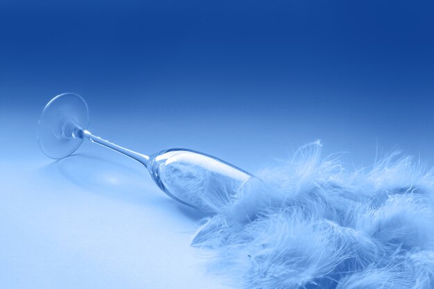 Flute glass with feathers on blue color