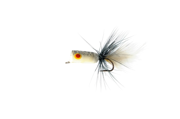 Fly for fishing isolated on white .