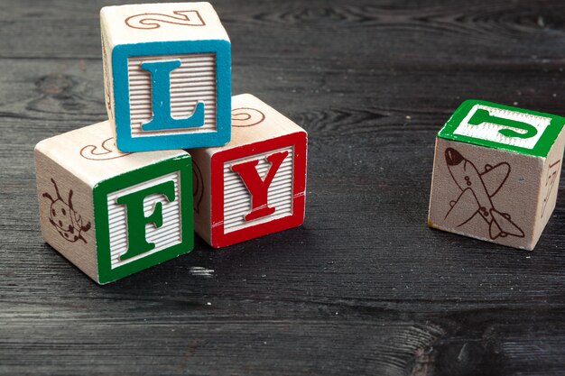 Fly printed on three wooden surface dice