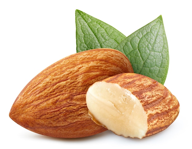 Flying almond raw piece