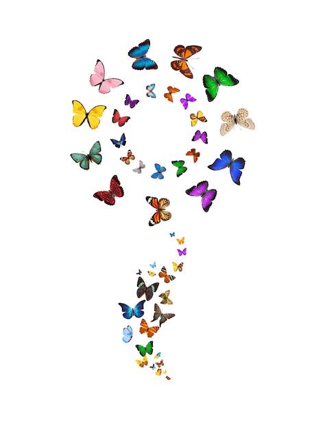 Photo flying butterflies in the shape of a flower isolated on white background. colored moths for design. high quality photo