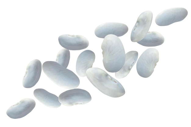 白い背景に孤立した空飛ぶ混沌とした白い豆の粒
