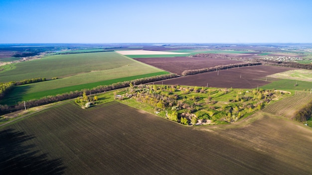 Flying over fields sown with agricultural crops