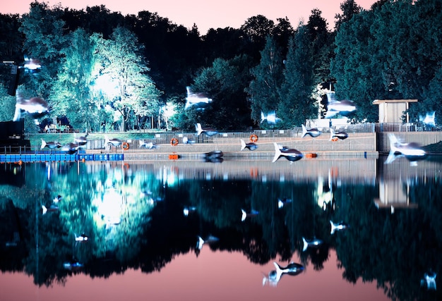 Flying fishes in Moscow park at light show background hd