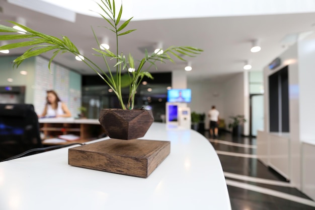 Vaso di fiori volante sopra il banco della reception nel moderno edificio in vetro