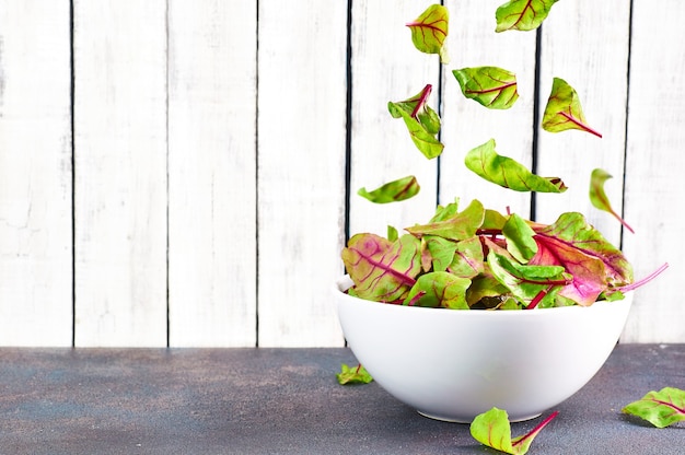 Flying Fresh chard in a bowl on a wood background