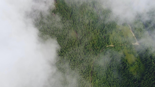 Flying over the green slopes of the Carpathian mountains in the clouds