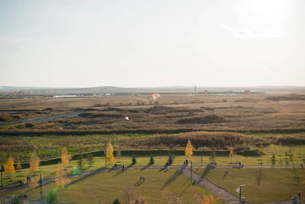 公園の上空で凧揚げ