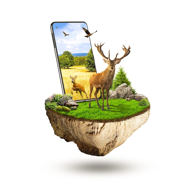 flying land with smartphone with deer and grass. piece of land with beautiful forest landscape.