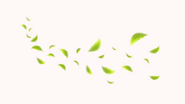 flying leaves design suitable for design elements on white background with clipping path