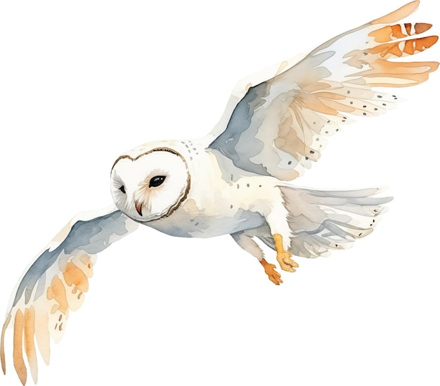 Flying owl watercolour illustration