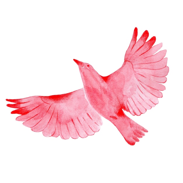 Flying red bird