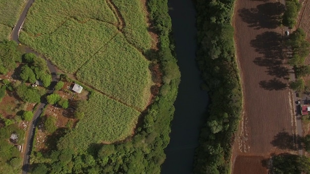 Flying over river and sugarcane fields mauritius