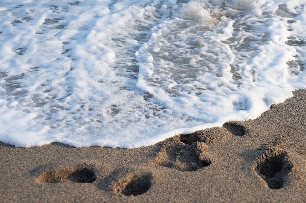 泡の海がクローズアップ。上からの眺め。