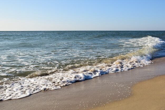 泡立つ海の波が砂浜の昼間のビーチを転がる