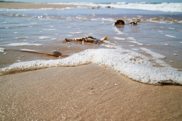 Пенная вода на берегу на пляже