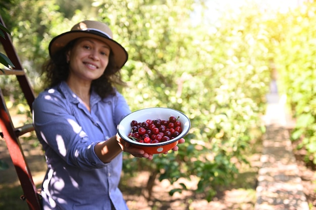 Concentrarsi su una ciotola con bacche di ciliegio mature appena raccolte nelle mani di una bella contadina sorridente in un frutteto