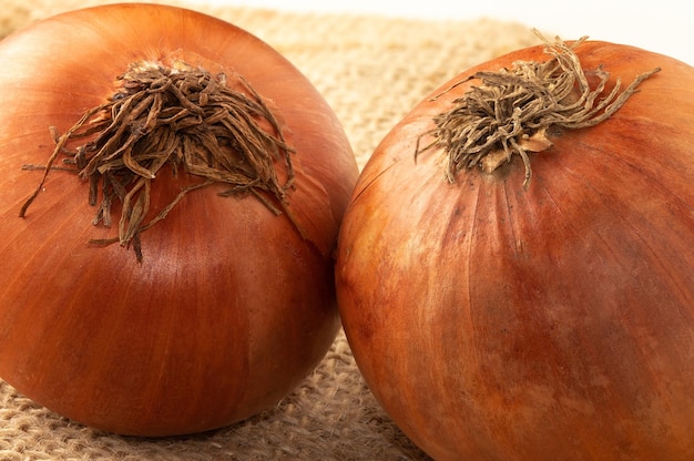 Focus on detail of two onions