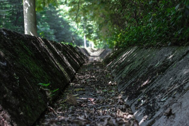 Focus in a ditch