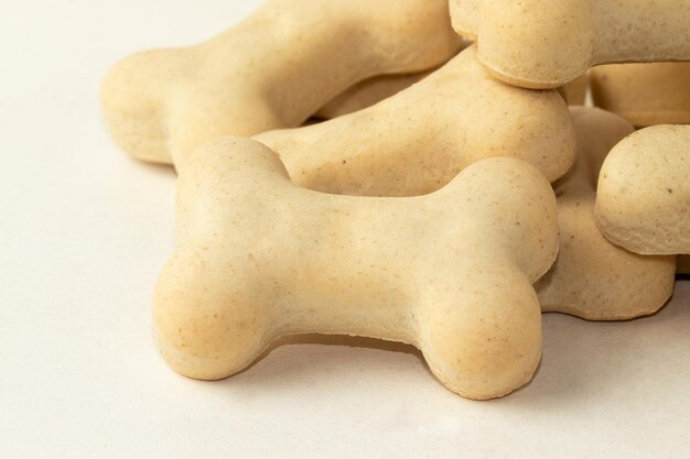 Focus on the first dry dog biscuit